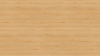 SCH ABS 23x2 H1910 ST9 Buk Willow